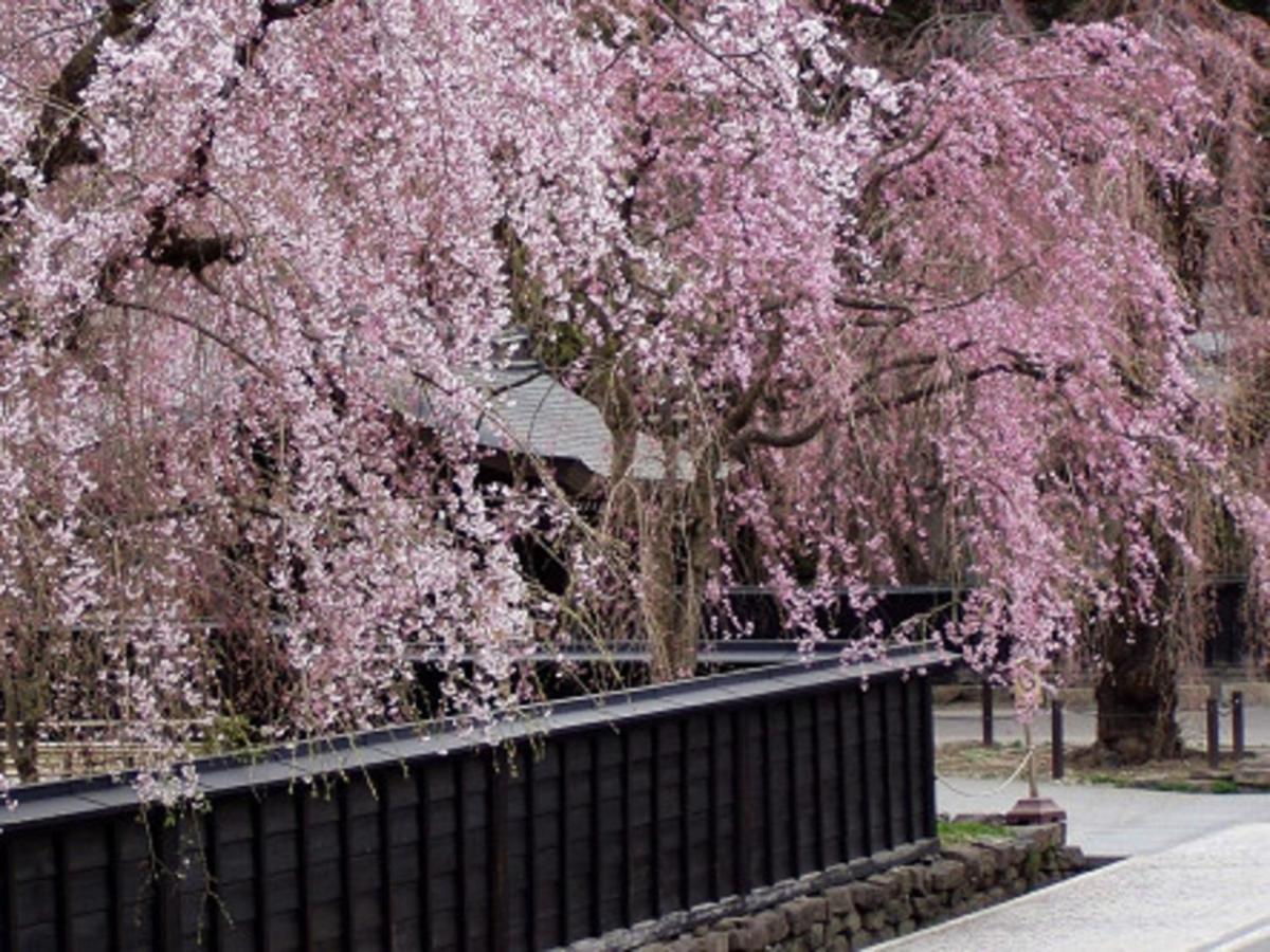 Tamachi Bukeyashiki Hotel - Vacation Stay 20163V Daisen  Exteriér fotografie