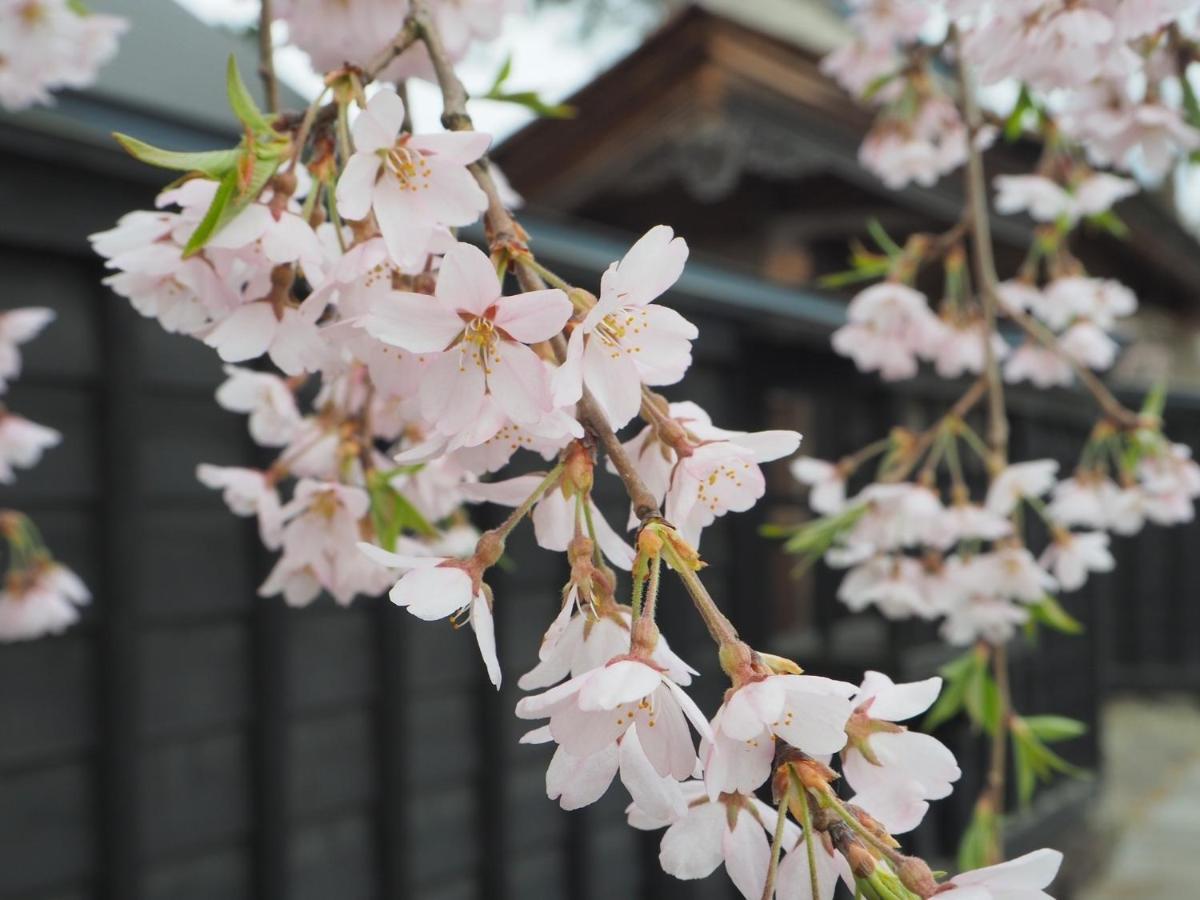 Tamachi Bukeyashiki Hotel - Vacation Stay 20163V Daisen  Exteriér fotografie